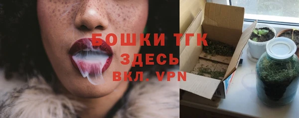 стаф Новодвинск