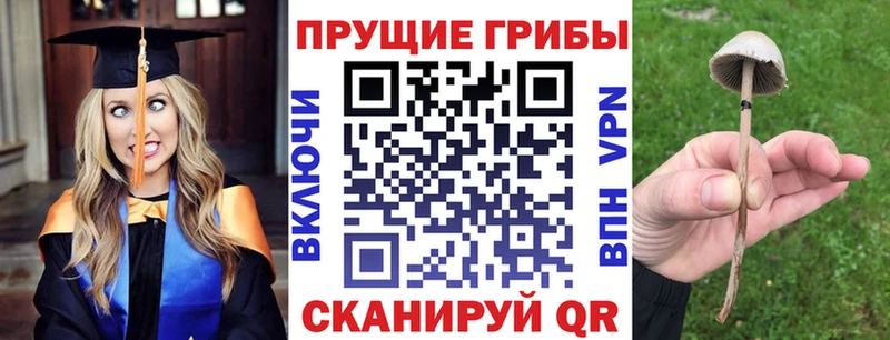 Купить  Острогожск  Псилоцибиновые грибы прущие грибы 